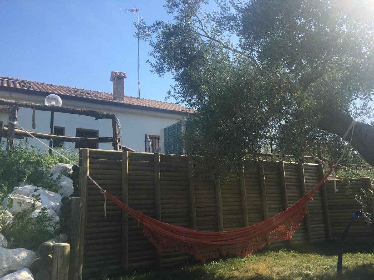 La Goiaba B&B Senigallia Exterior foto