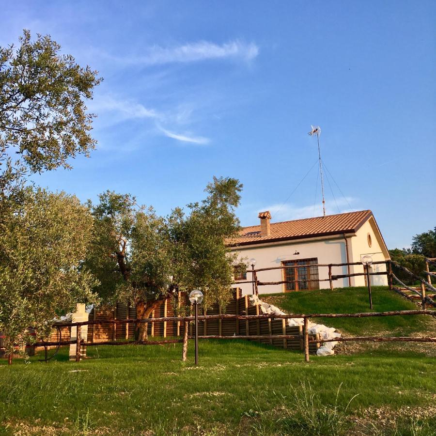 La Goiaba B&B Senigallia Exterior foto